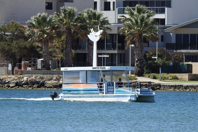 1 Hour Deluxe Scenic Dolphin Cruise - Key things that make this cruise worth your time