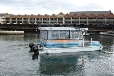 1 Hour Deluxe Scenic Dolphin Cruise - Dolphin Quay and the marina: where the action starts