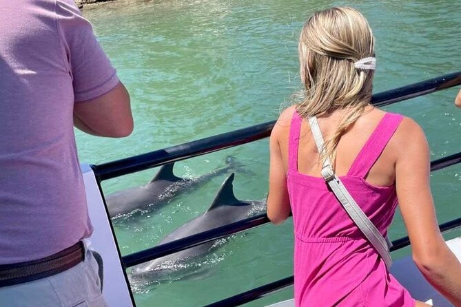1 Hour Deluxe Scenic Dolphin Cruise - Creery Wetlands and the estuary edge: the wildlife-focused payoff