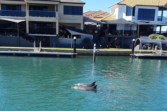 1 Hour Deluxe Scenic Dolphin Cruise - Price and value: is $27.26 a fair deal for this ride?