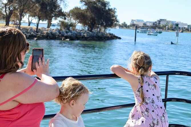 1 Hour Deluxe Scenic Dolphin Cruise - Who this Mandurah dolphin cruise suits best