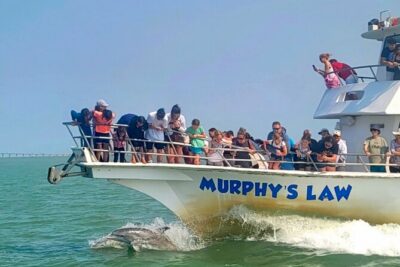 1 Hour Dolphin Dash - Why the lower Laguna Madre cruise is the whole point