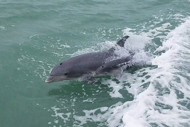 1 Hour Dolphin Dash - US Coast Guard Station views from the water