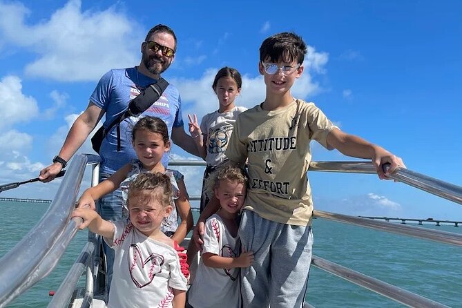 1 Hour Dolphin Dash - Sea life on the boat: extra viewing and possible hands-on time