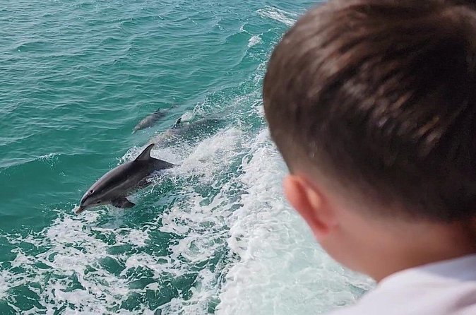 1 Hour Dolphin Dash - Practical tips for a windy, photo-friendly ride