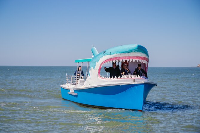 1-hour Dolphin Sightseeing Adventure Cruise from Madeira Beach - Key things you should know before booking