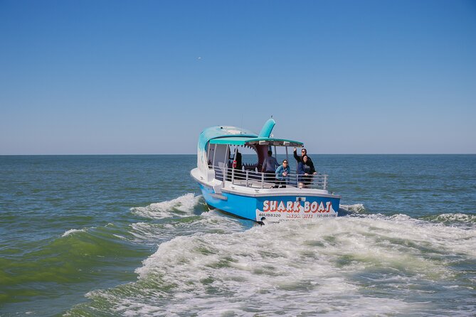 1-hour Dolphin Sightseeing Adventure Cruise from Madeira Beach - Getting the best dolphin sightings: realistic expectations and smart moves