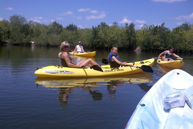 1-Hour Tandem Kayak Rental with Manatee & Dolphin sightings - Key Things to Know Before You Paddle