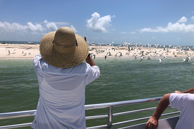10,000 Islands Boat Excursion - 3.5-Hour Dolphins & Shelling Tour - A practical way to see the 10,000 Islands without speeding through it