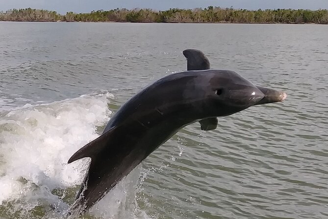 10,000 Islands Boat Excursion - 3.5-Hour Dolphins & Shelling Tour - Cape Romano dome houses: the photo stop that also anchors the story