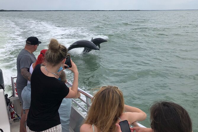 10,000 Islands Excursion Small-Group 3.5 hour Dolphin & Shelling Boat Tour - Entering the 10,000 Islands: What This Boat Tour Is Really About