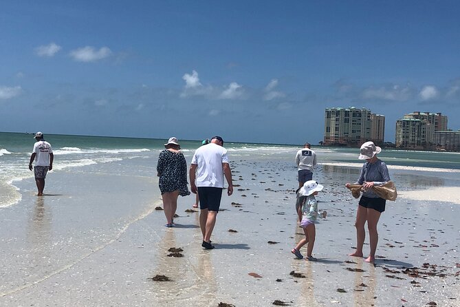 10,000 Islands Excursion Small-Group 3.5 hour Dolphin & Shelling Boat Tour - Stop 1 in Dixie County: Real Shelling on a Remote Beach