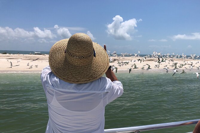 10,000 Islands Excursion Small-Group 3.5 hour Dolphin & Shelling Boat Tour - Duration, Timing, and the Small-Group Advantage