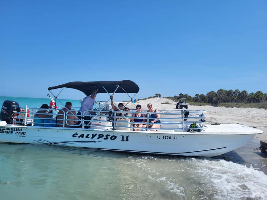 2.5 Hour Shell Key Island Adventure - Dolphins And Shells - Dolphin Bay cruise: where the wildlife spotting is the main event