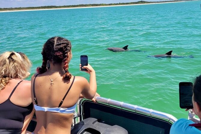 2.5 Hour Shell Key Island Adventure Including Dolphins And Shells - Shell Key in 2.5 hours: the real flow of the trip