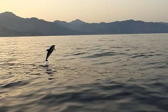 2.5 Hours Sunset Boat Tour in Search of Dolphins - Isola Bella Stop: caves, coast views, and why this first hour feels good
