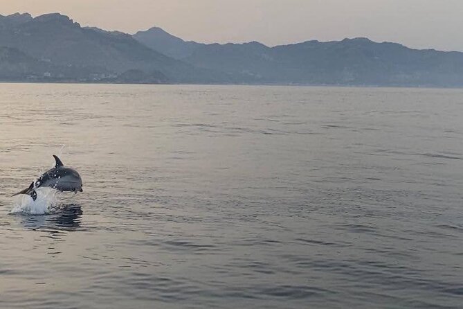 2.5 Hours Sunset Boat Tour in Search of Dolphins - Boat Vibe With Kristal Boat: music, small-group energy, and skilled handling