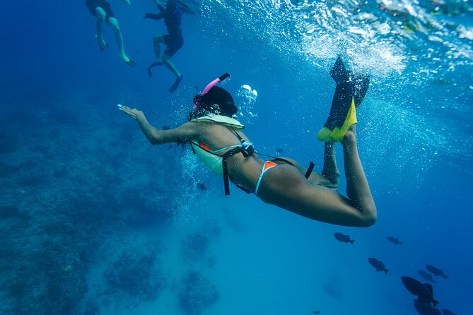 2 Hour Big Island Dolphin Watching and Sea Turtle Snorkel Tour - Weather Reality Check: Why “Good Weather” Can Change Your Plans