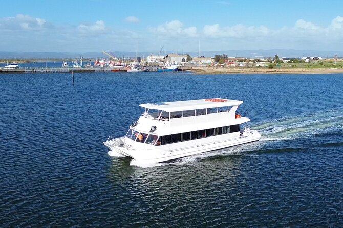 2-Hour Dolphin and Maritime Cruise in Port Adelaide - Key Highlights Before You Go
