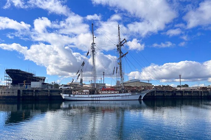 2-Hour Dolphin and Maritime Cruise in Port Adelaide - Price and Value: Is $63.12 a Good Deal?