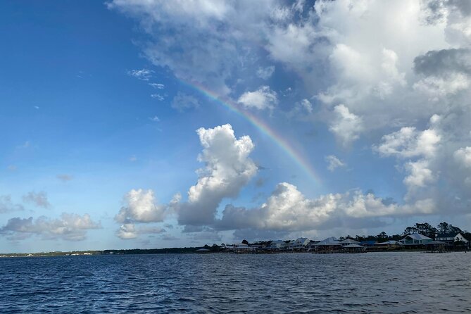 2-Hour Dolphin and Nature Eco Tour from Orange Beach - The 2-Hour Flow: dock departure to creeks and back