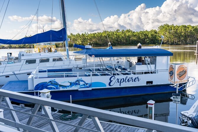 2-Hour Dolphin and Nature Eco Tour from Orange Beach - What you can expect to spot: dolphins, alligators, and birds