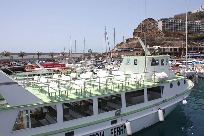 2-Hour Dolphin and Whale Watching in Gran Canaria - Onboard Bar and the Don’t-Forget-This List