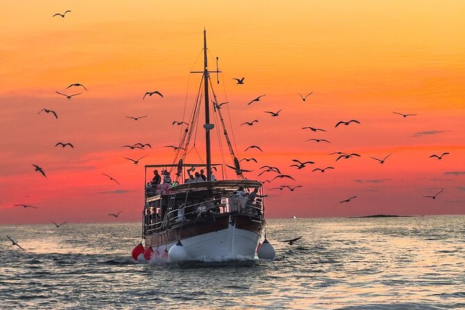 2-Hour Dolphin Guided Safari NP Brijuni from Fazana - Key things to know before you go