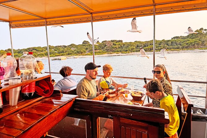 2-Hour Dolphin Guided Safari NP Brijuni from Fazana - Fažana to Brijuni at Sunset: Why 6 pm Matters