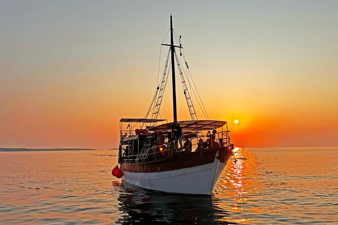 2-Hour Dolphin Guided Safari NP Brijuni from Fazana - Weather, Timing, and the Realistic Odds