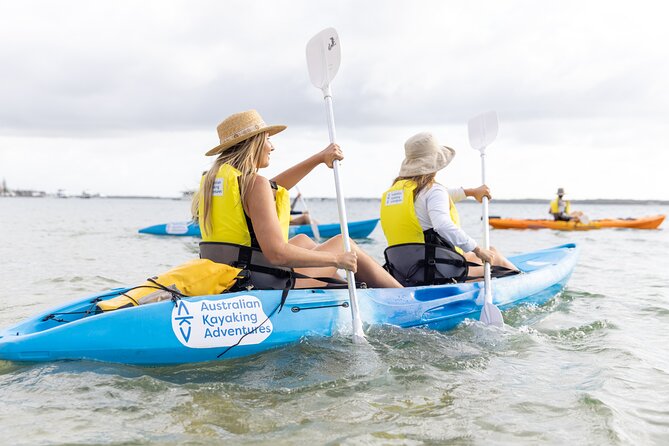 2-Hour Dolphin Kayak & Snorkel Tour on the Broadwater - Wavebreak Island snorkeling: fish, gear, and what to watch for