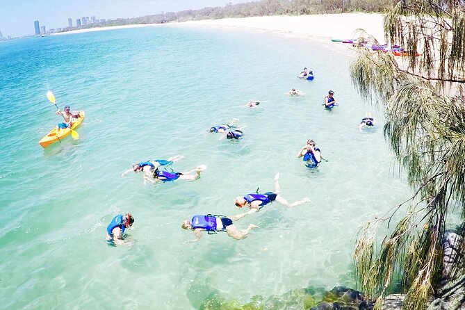 2-Hour Dolphin Kayak & Snorkel Tour on the Broadwater - Price and value: is $62.40 for 2 hours fair?