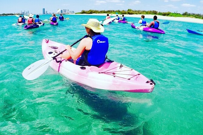 2-Hour Dolphin Kayak & Snorkel Tour on the Broadwater - Who this tour is best for (and who should be cautious)