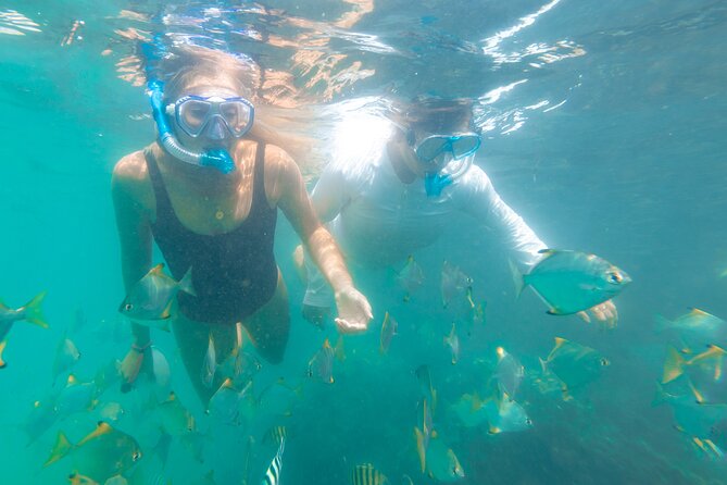 2-Hour Dolphin Kayak & Snorkel Tour on the Broadwater - What to bring so you actually enjoy every minute