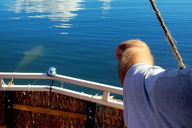 2 hour Dolphin Sightseeing Tour in Melbourne Florida - Weather, Dolphin Timing, and When to Adjust Expectations