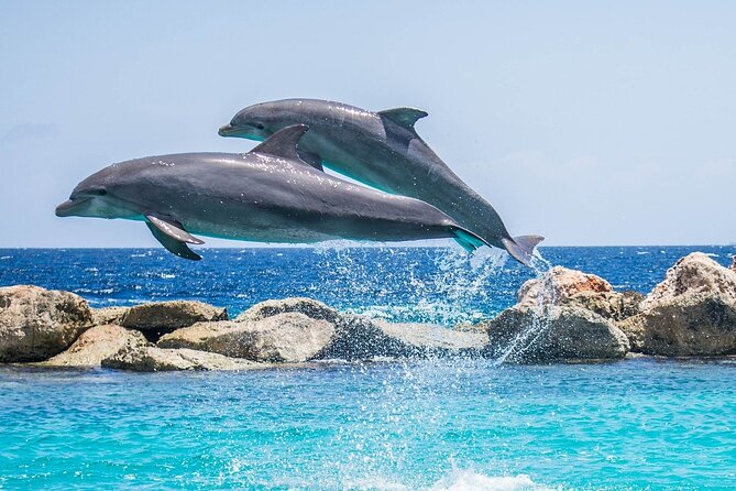 2-Hour Dolphin Sunset Tour from Giardini Naxos - 2 Hours at Sea: What the Bay Tour Really Feels Like