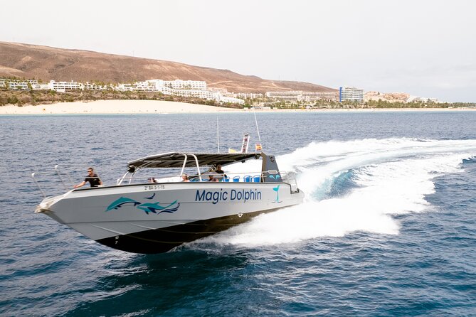 2-Hour Dolphin Watching Experience in Fuerteventura - The Real Star Is the Crew: Miguel, Nino, and Respectful Spotting