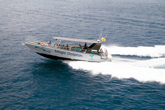 2-Hour Dolphin Watching Experience in Fuerteventura - Who This Works For (and Who Should Ask Questions First)