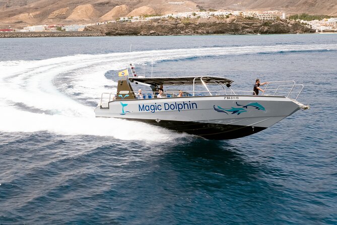 2-Hour Dolphin Watching Experience in Fuerteventura - Should You Book This Dolphin Watching Cruise?