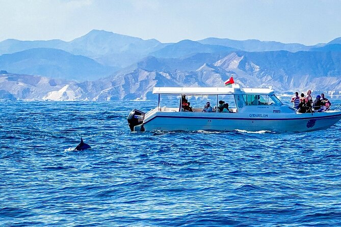 2 Hour Dolphin Watching Experience in Muscat - A Quick Reality Check: The Only Things to Watch