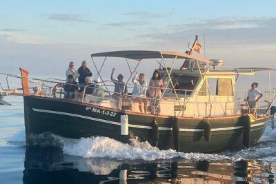2-Hour Excursion in Search of Dolphins/ Includes Drink and Snacks - How the Cruise Feels: Small Group Size and Deck Time