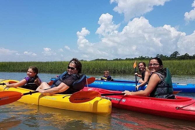2 Hour Kayak Hilton Head Dolphin and Nature Tour - Wildlife Moments: Dolphins, Manatees, Turtles, and Salt-Marsh Birds