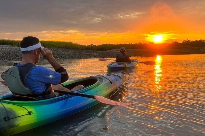 2 Hour Kayak Hilton Head Dolphin and Nature Tour - Price and Value: Is $49 for 2 Hours Actually Fair?