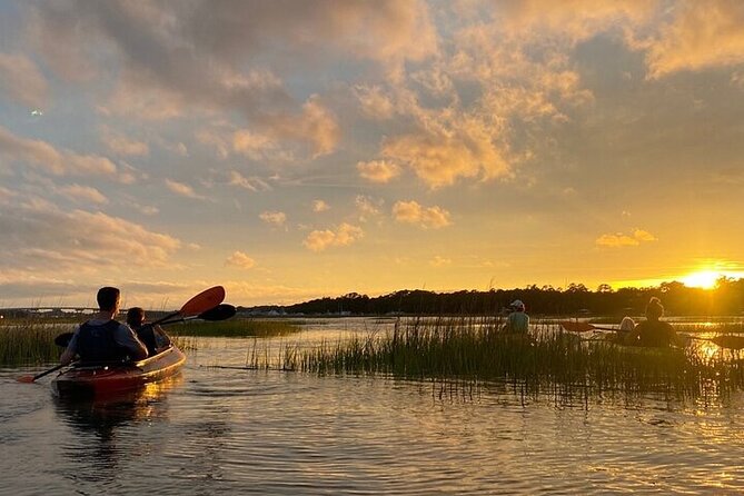 2 Hour Kayak Hilton Head Dolphin and Nature Tour - Who Should Book (and Who Might Want a Different Day Plan)