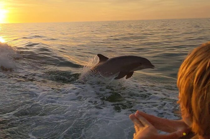 2 Hour Private Dolphin and Sightseeing Tour Shell Island - Key things to know before you go