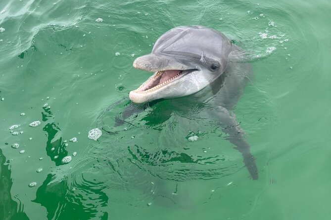 2 Hour Private Dolphin and Sightseeing Tour Shell Island - Getting to 1213 Beck Ave and what the ride timing really means