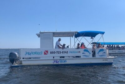 2 Hour Private Dolphin Cruise & Bay Tour - What you do for 2 hours: wildlife spotting on the bay