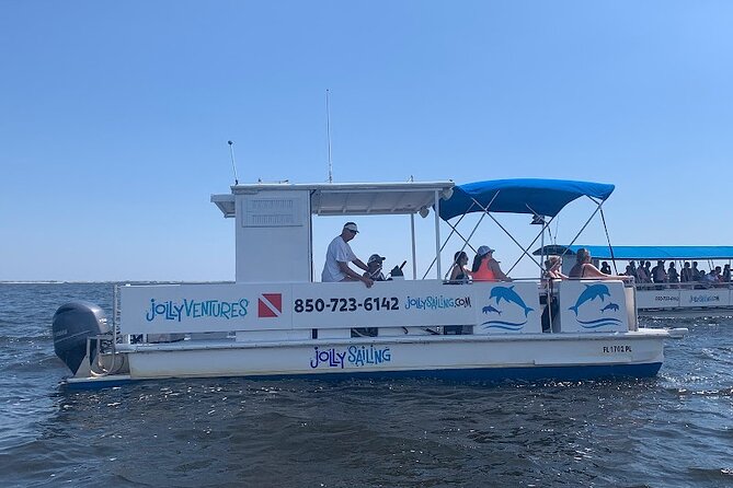 2 Hour Private Dolphin Cruise & Bay Tour - What you do for 2 hours: wildlife spotting on the bay