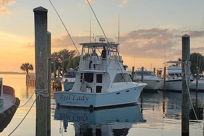 2 Hour Private Dolphin Sightseeing Tour - Key Highlights to Know Before You Go