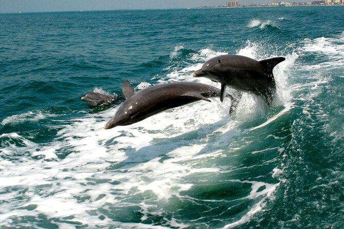 2 Hour Private Dolphin Sightseeing Tour - Sunset Cruise on St. Andrews Bay: Timing Matters